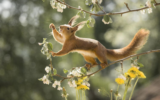 картинка найдена на просторах интернета ссылка 16a1f1c03b83150a2146b50b220b3b4bf69d4e564