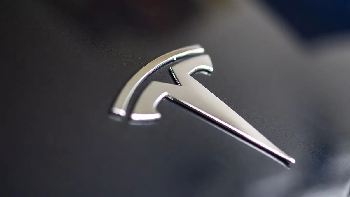 Фото A. Krivonosov  📷
