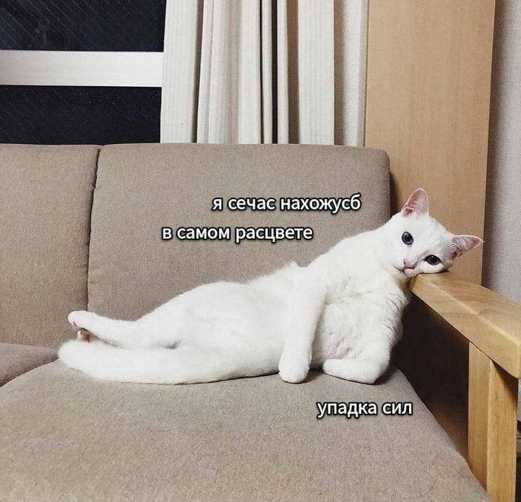 Мое состояние 24/7