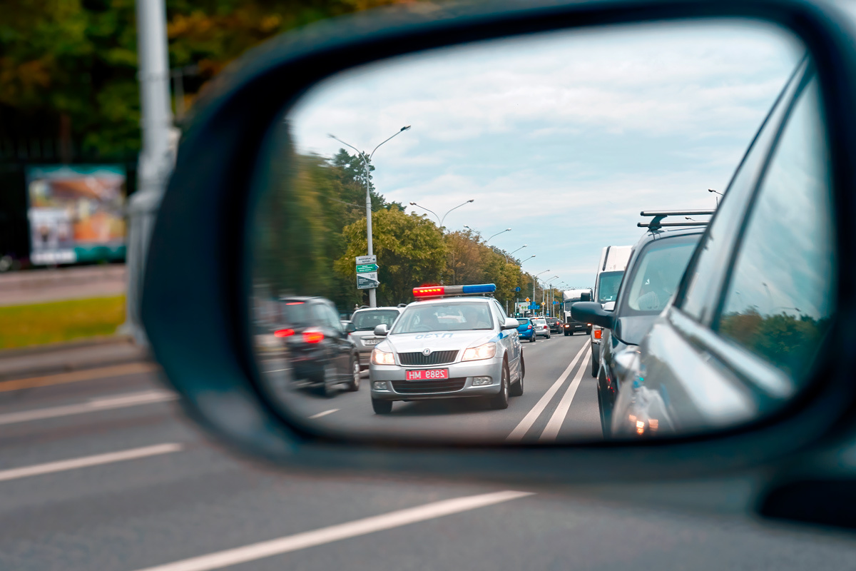    Фото: Tricky_Shark / Shutterstock.com