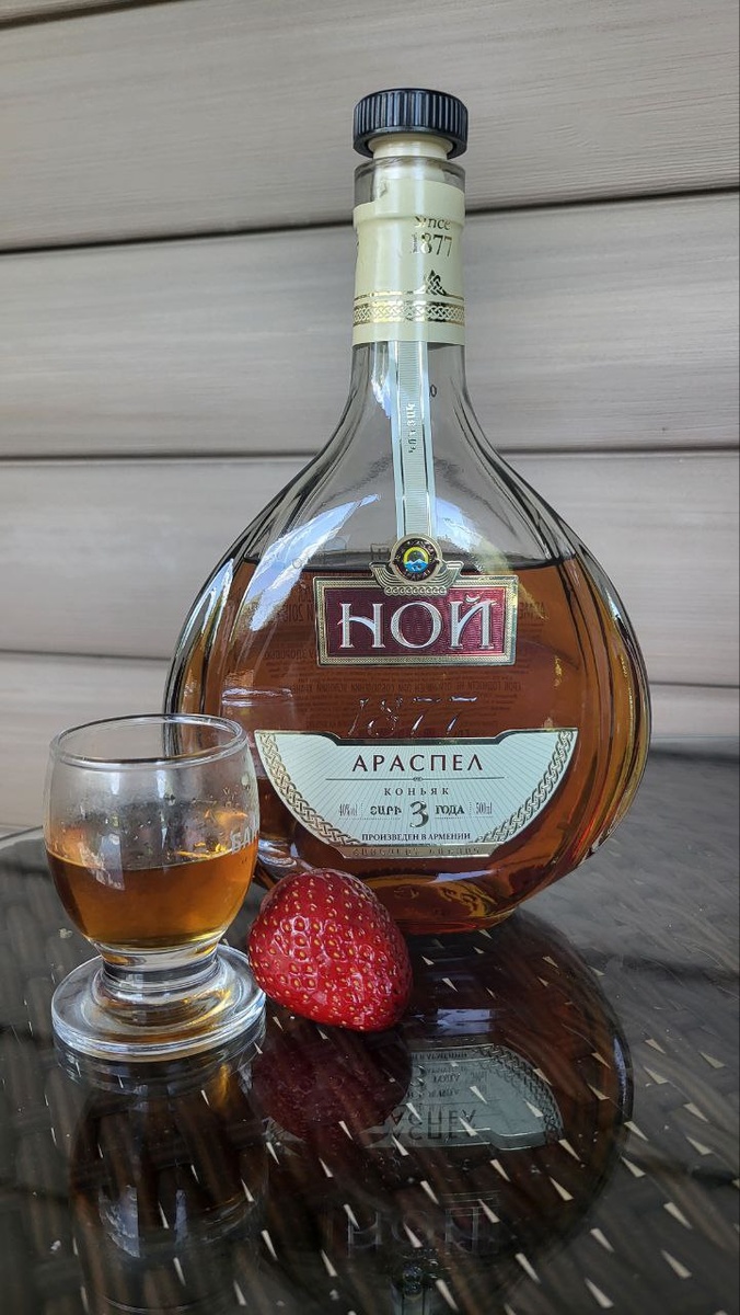 Фото из личного архива автора