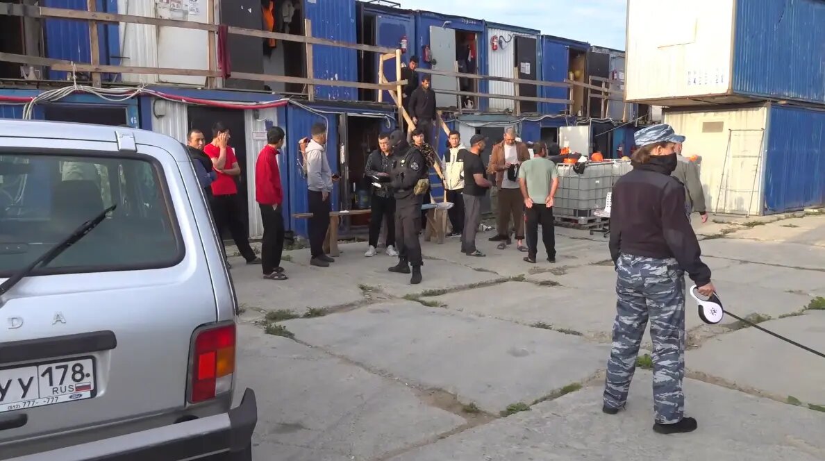    Фото: кадр видео ГУ МВД по Петербургу и Ленобласти