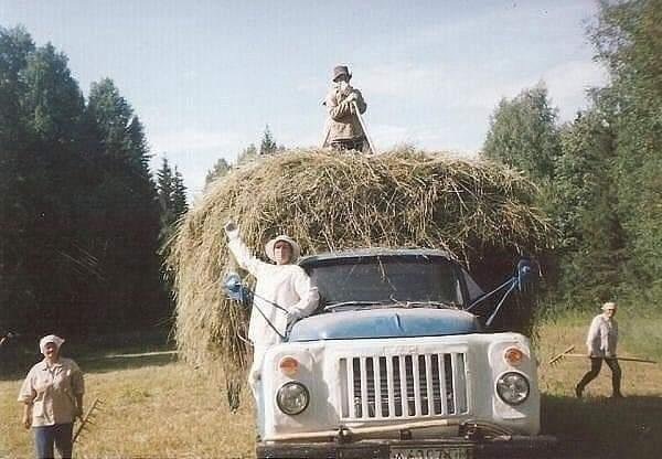 Фото из интернета. Сенокос.