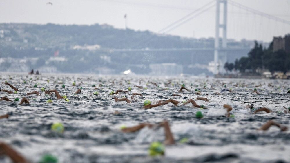    Фото: Orlok/Shutterstock/Fotodom