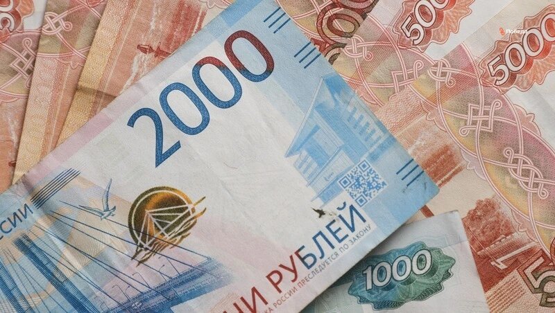      Фото: Дмитрий Ахмадуллин / / ИА «Победа26»