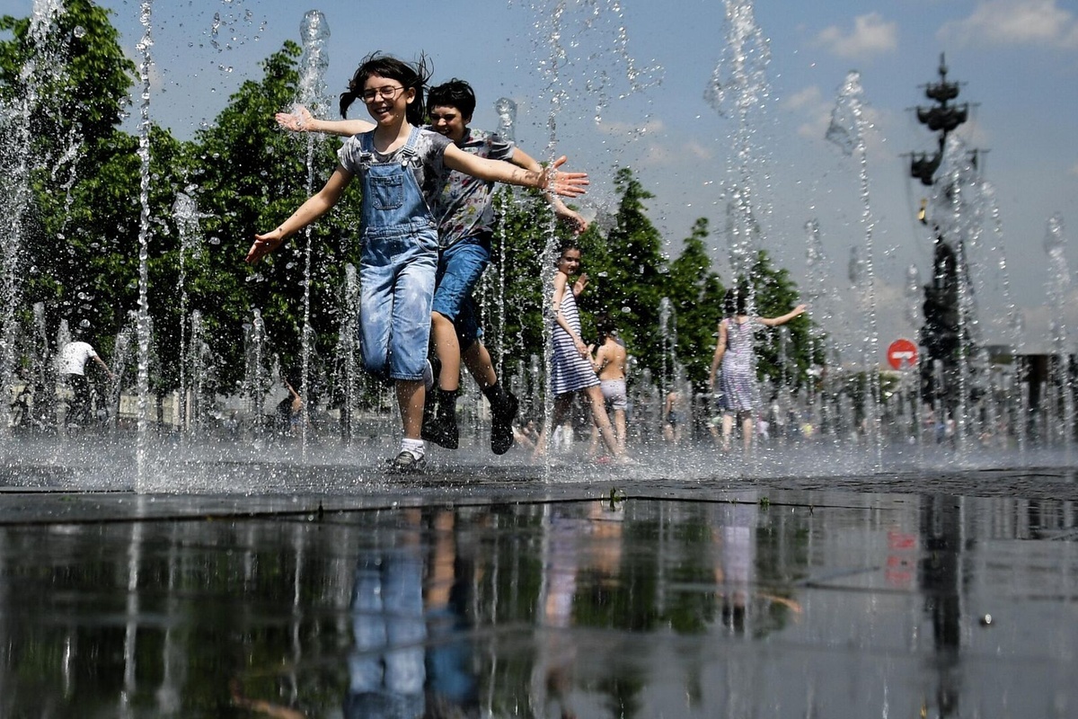    Фото: Алексей Филиппов, Источник: ria.ru