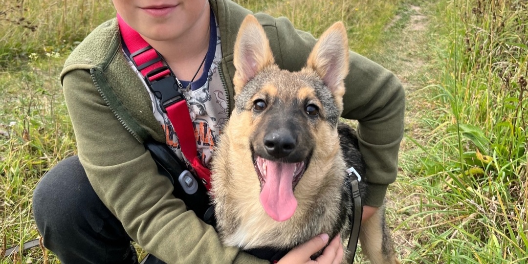 У нас в приюте происходит нечто по-настоящему особенное. Дима и 2 Матвея -юные герои приюта