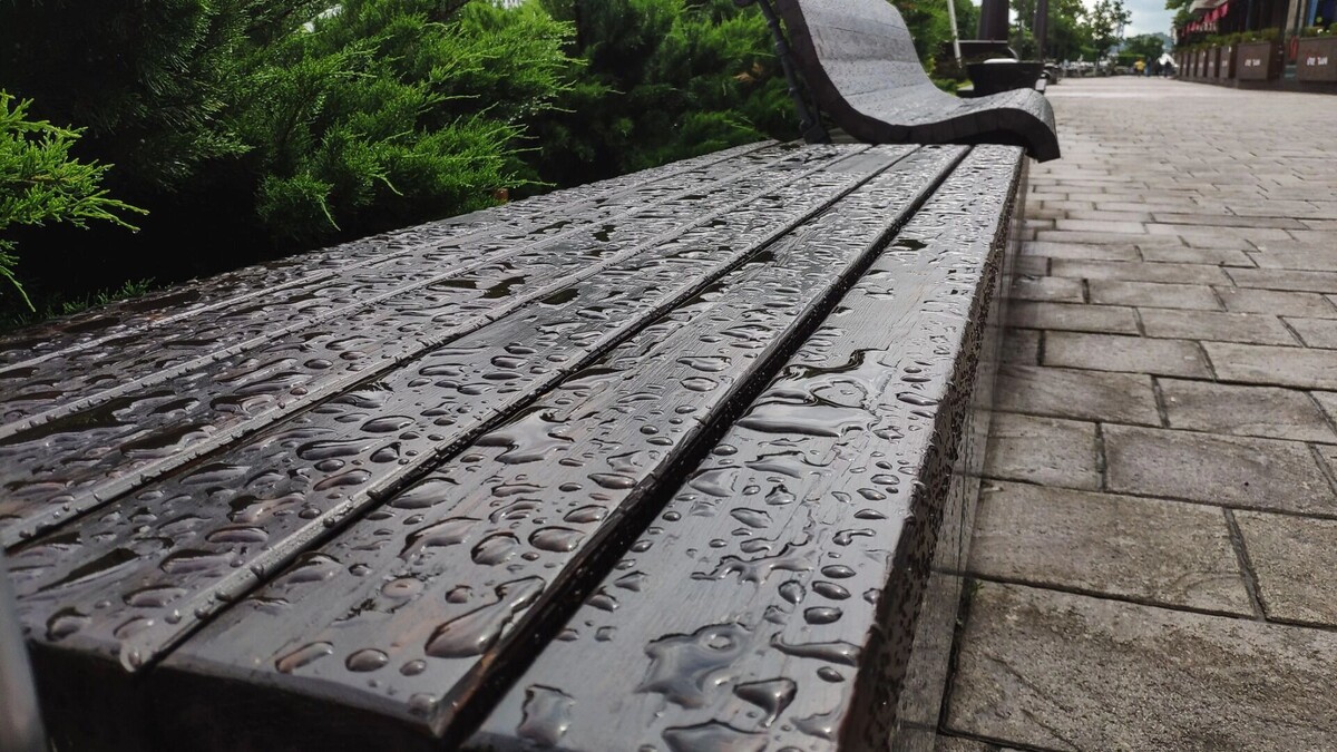     Источник: 1MI