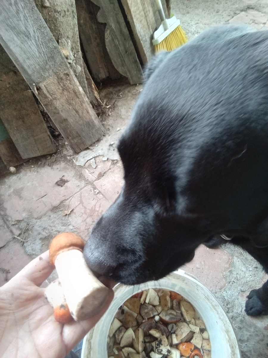 Фото автора.