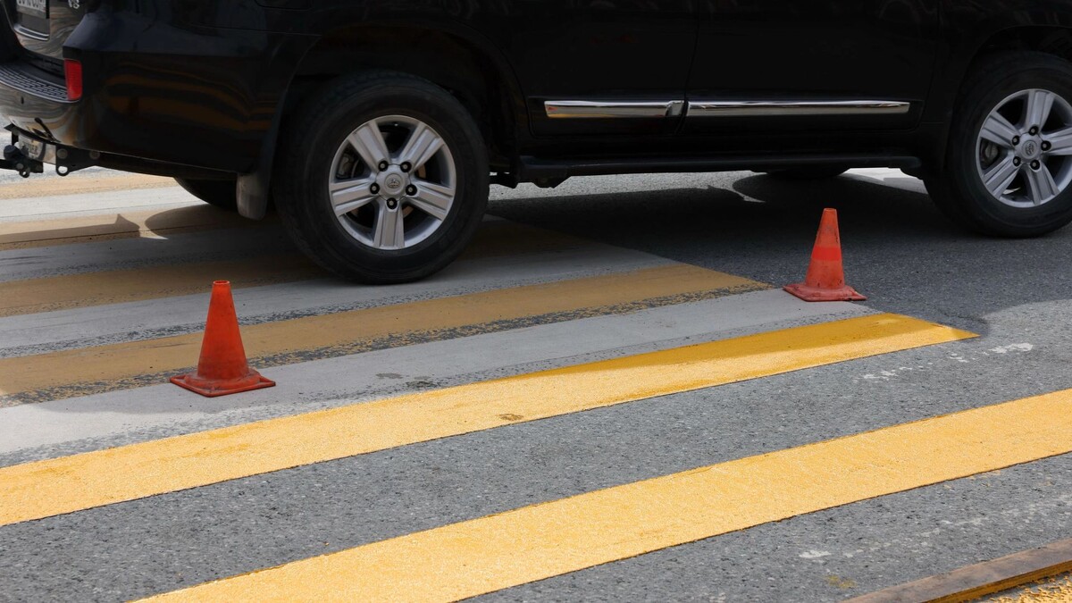    Фото: Андрей Ткачев / «Ямал-Медиа»