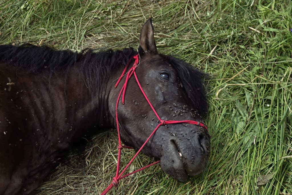    Фото: Уромская долина