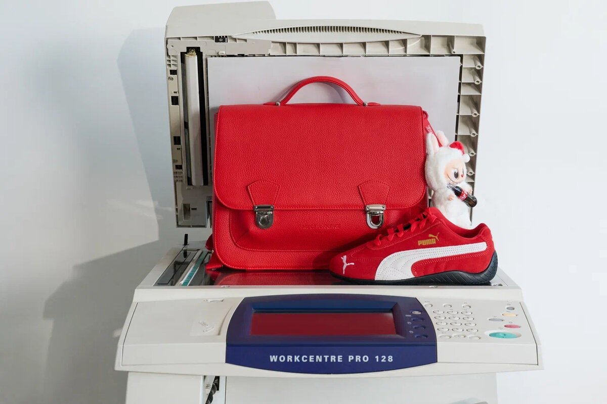 Аксессуары и обувь для школы в Кенгуру