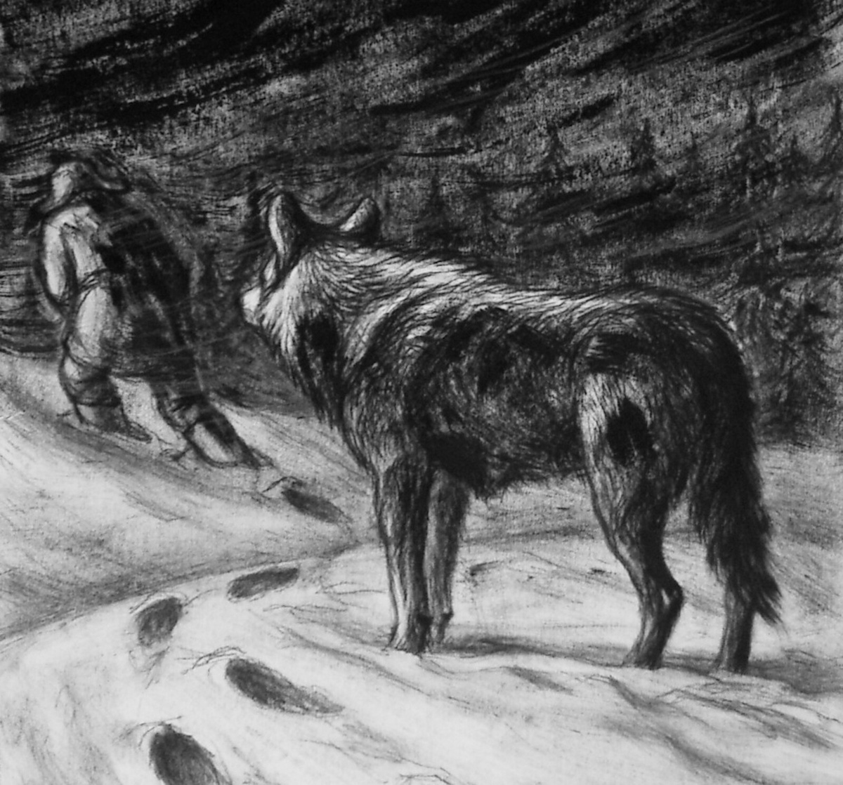 Иллюстрация к рассказу выполнена Романом Сайфуллиным – художником-графиком, членом Союза Художников Российской Федерации