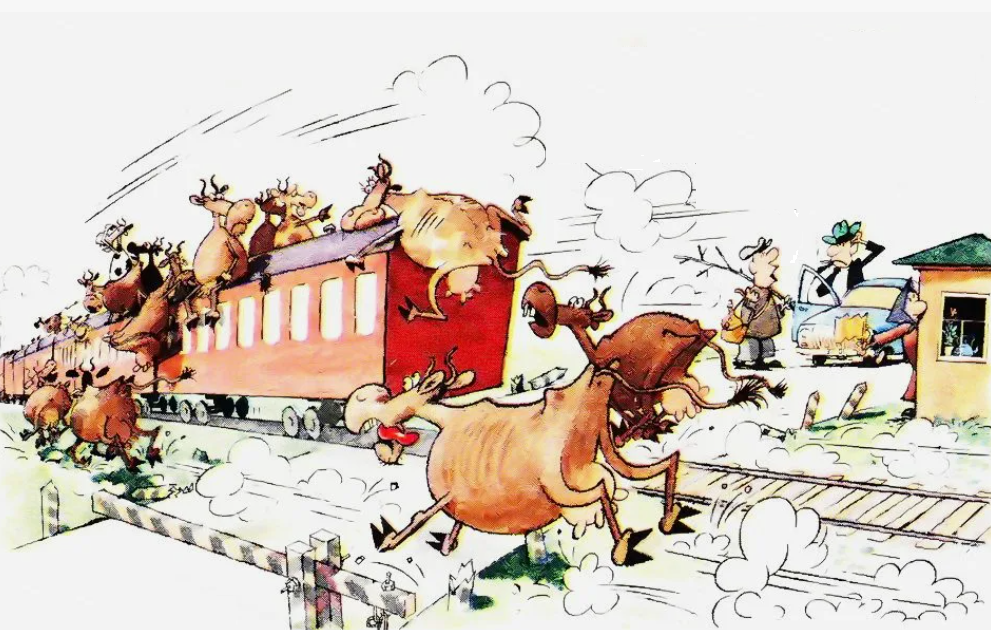 - Слух прошел, что в этом году на юге с кормами благополучно...