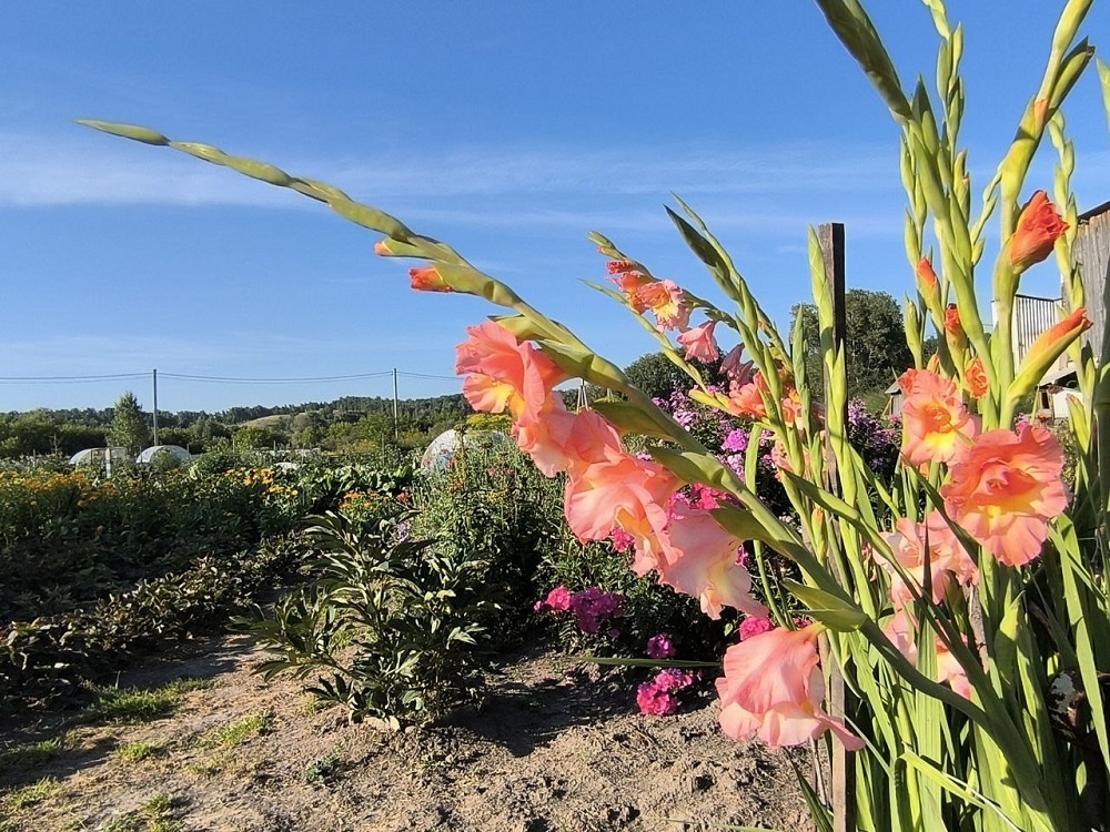    Фотография Анны Зубаревой