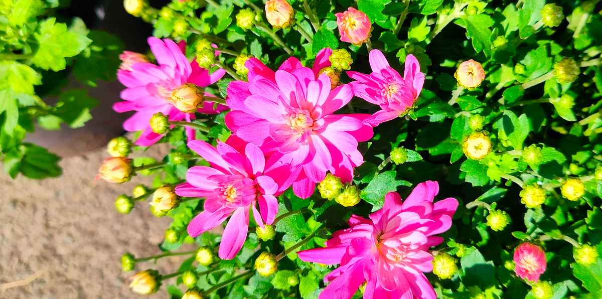 Любовь — видеть то, чего никто не замечает, и не замечать того, что видят все.“ А.Ф.Давидович