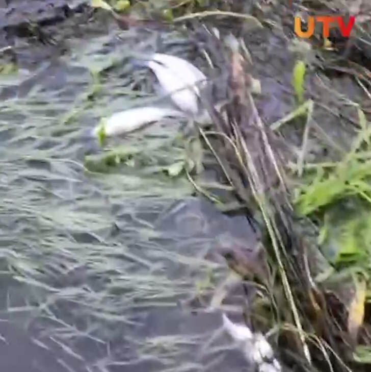    Источник: UTV, Telegram-канал