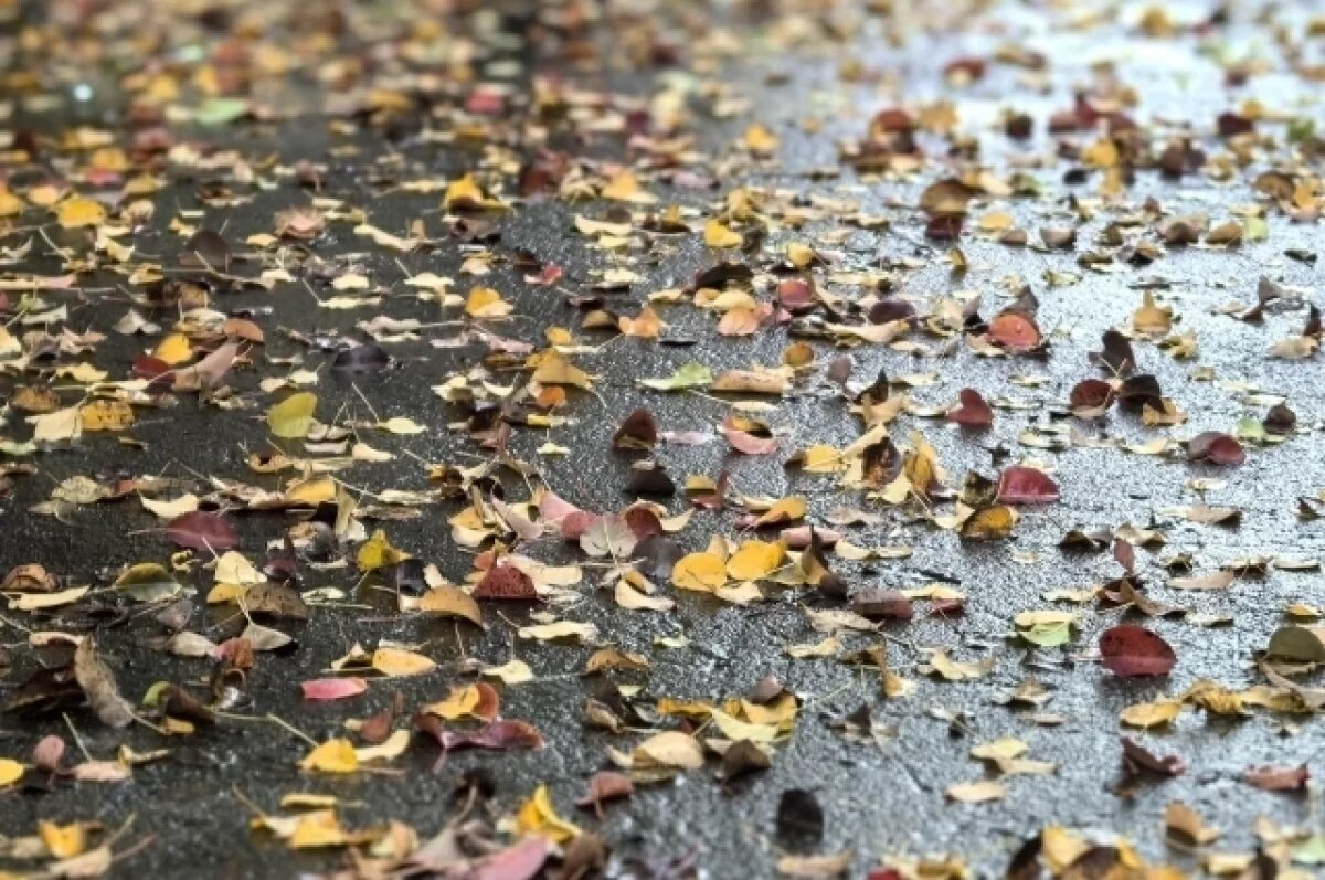    Дончан ждёт трёхдневная рабочая неделя в ноябре