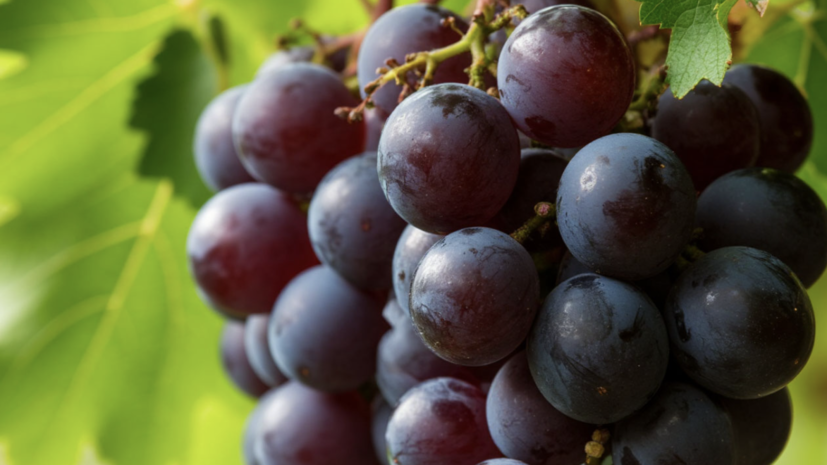   Сгенерировано с помощью ИИ