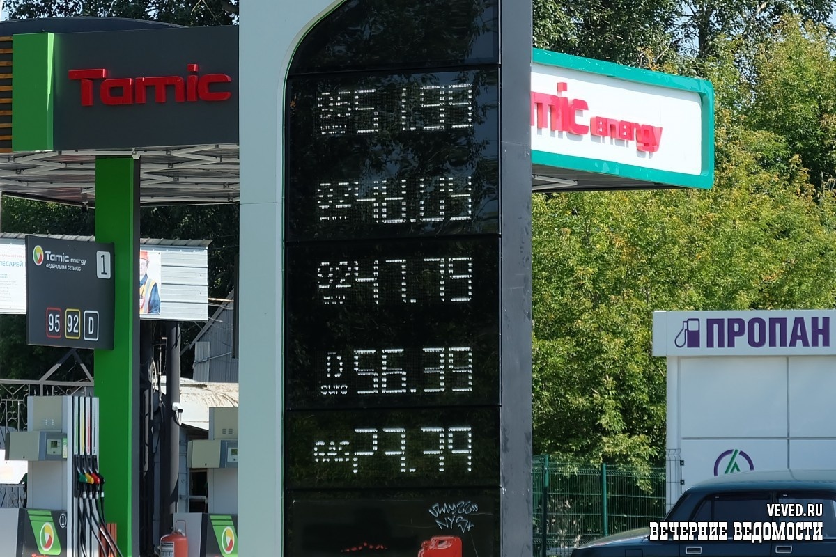     Фото: Владислав Постников / Вечерние ведомости