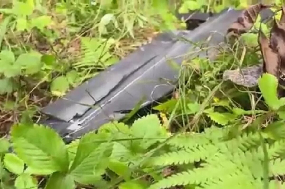    В Орловской области обломки украинских БПЛА повредили частный дом