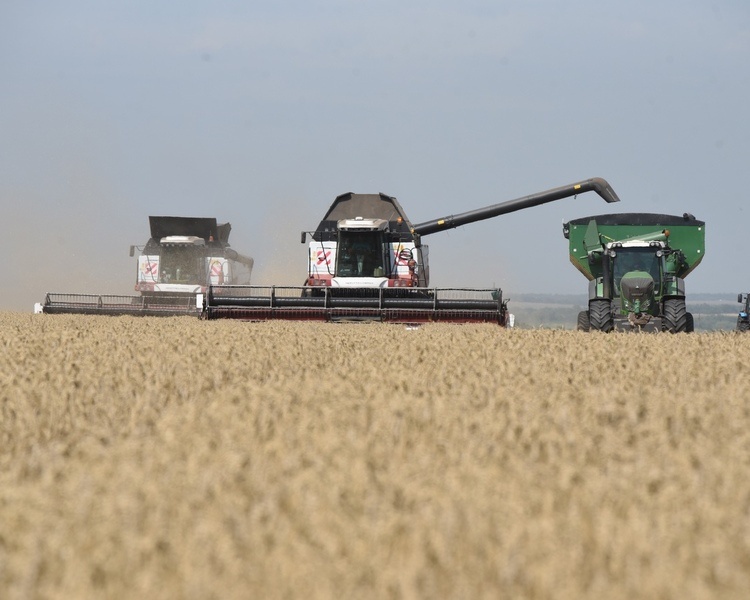     В Курской области намолочено 2,9 млн тонн зерна