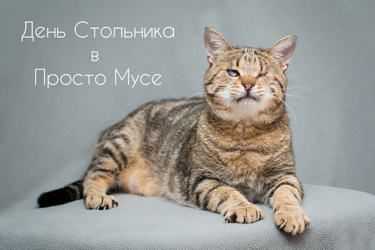 Наш Бурундучок