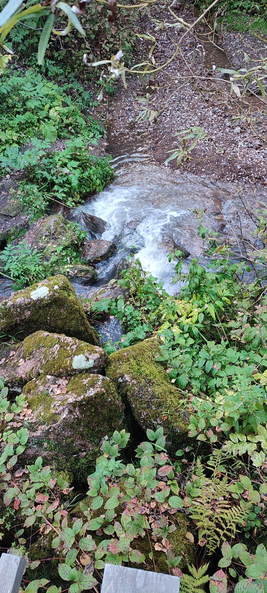 Национальный парк "Красноярские Столбы". Восточный вход. Ручей Моховой. 