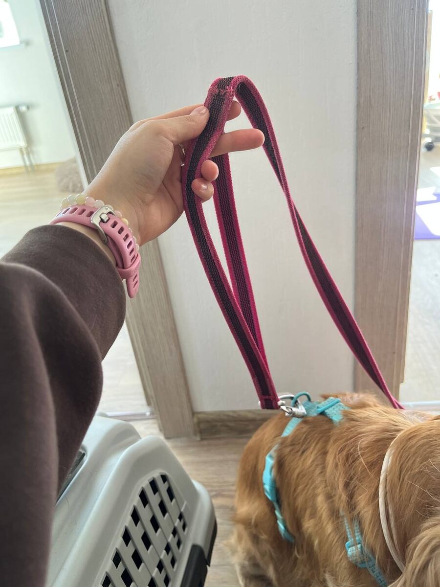 Удобная ручка для «короткого поводка»