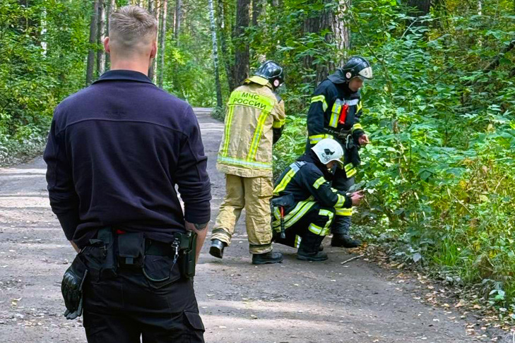    Фото с места находки АБ Гвардия