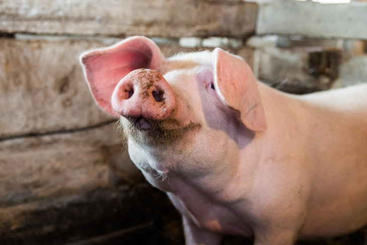    Фото Андрея Заржецкого