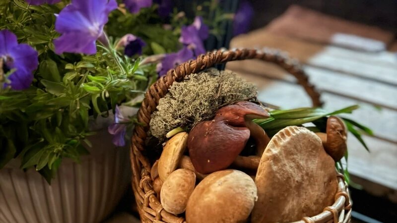     Грибы в Алтайском крае Страница сообщества «Грибы и Грибники Алтайского края» во «ВКонтакте»