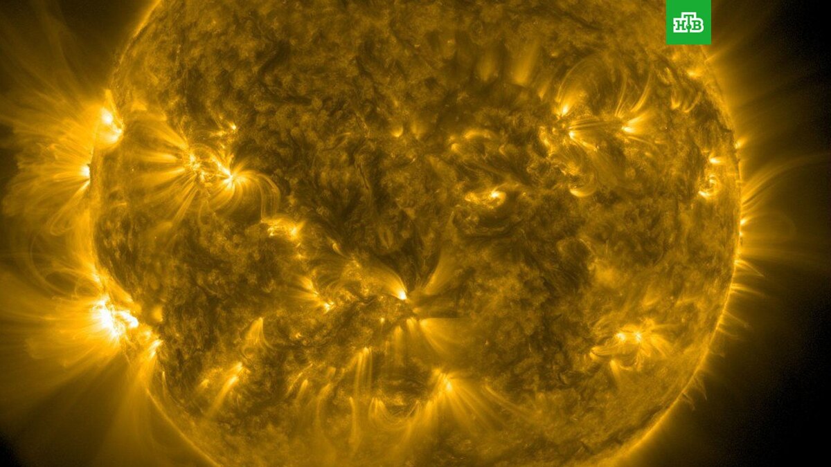    Фото: @lpixras / t.me