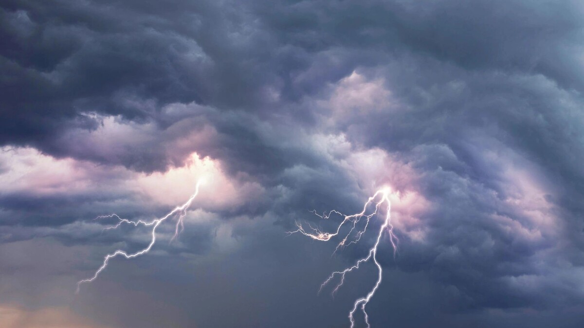    Фото: Roman Mikhailiuk / Shutterstock / Fotodom