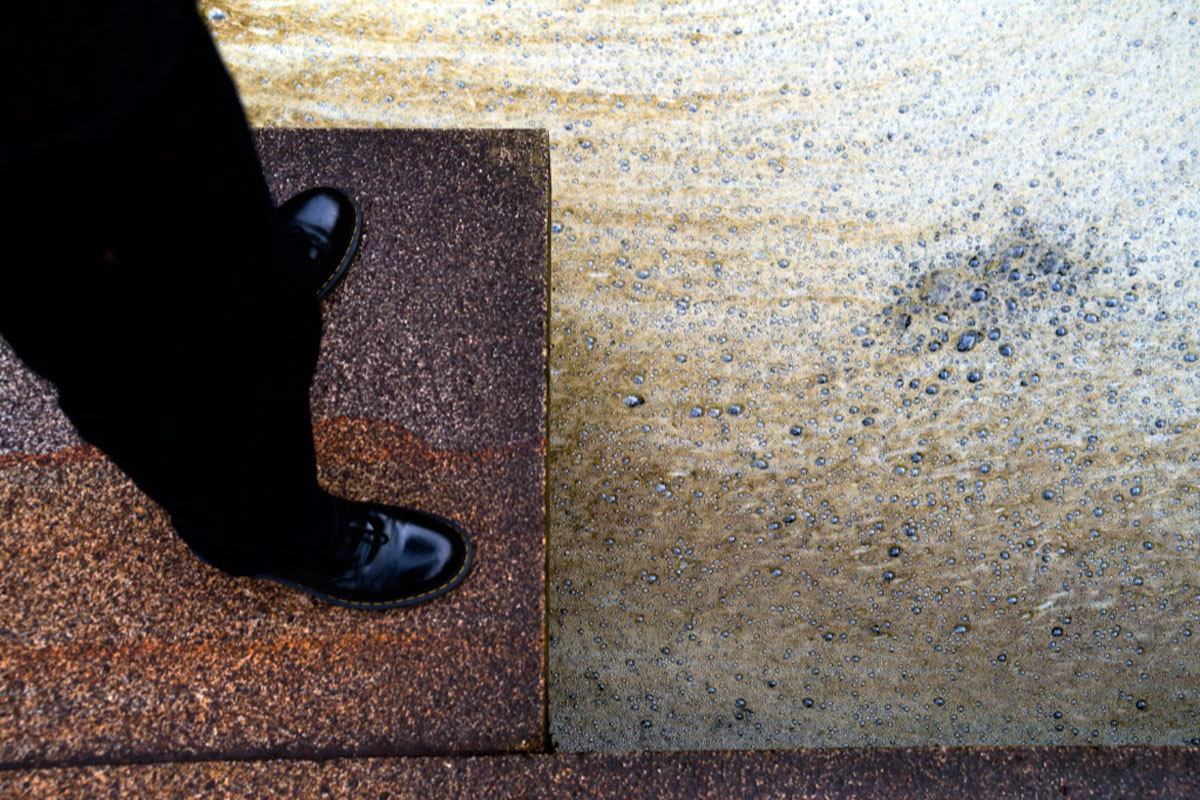 Ваш внутренний мир, каким бы уникальным он ни был, неразрывно связан со всей жизнью на Земле