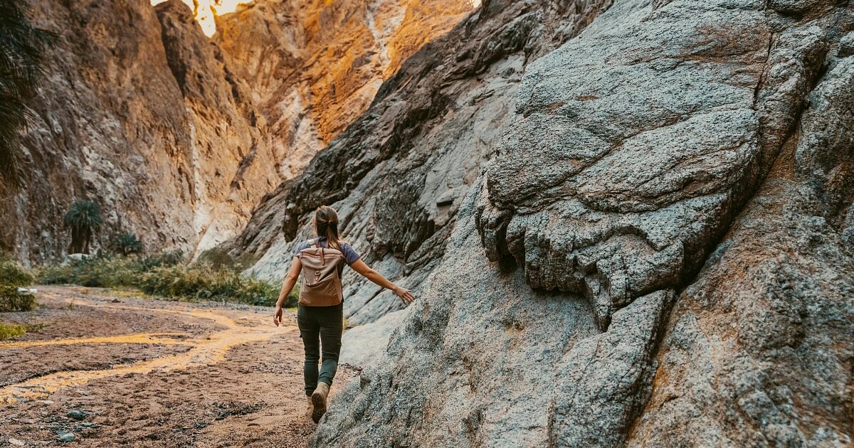 Фото: NEOM / Unsplash