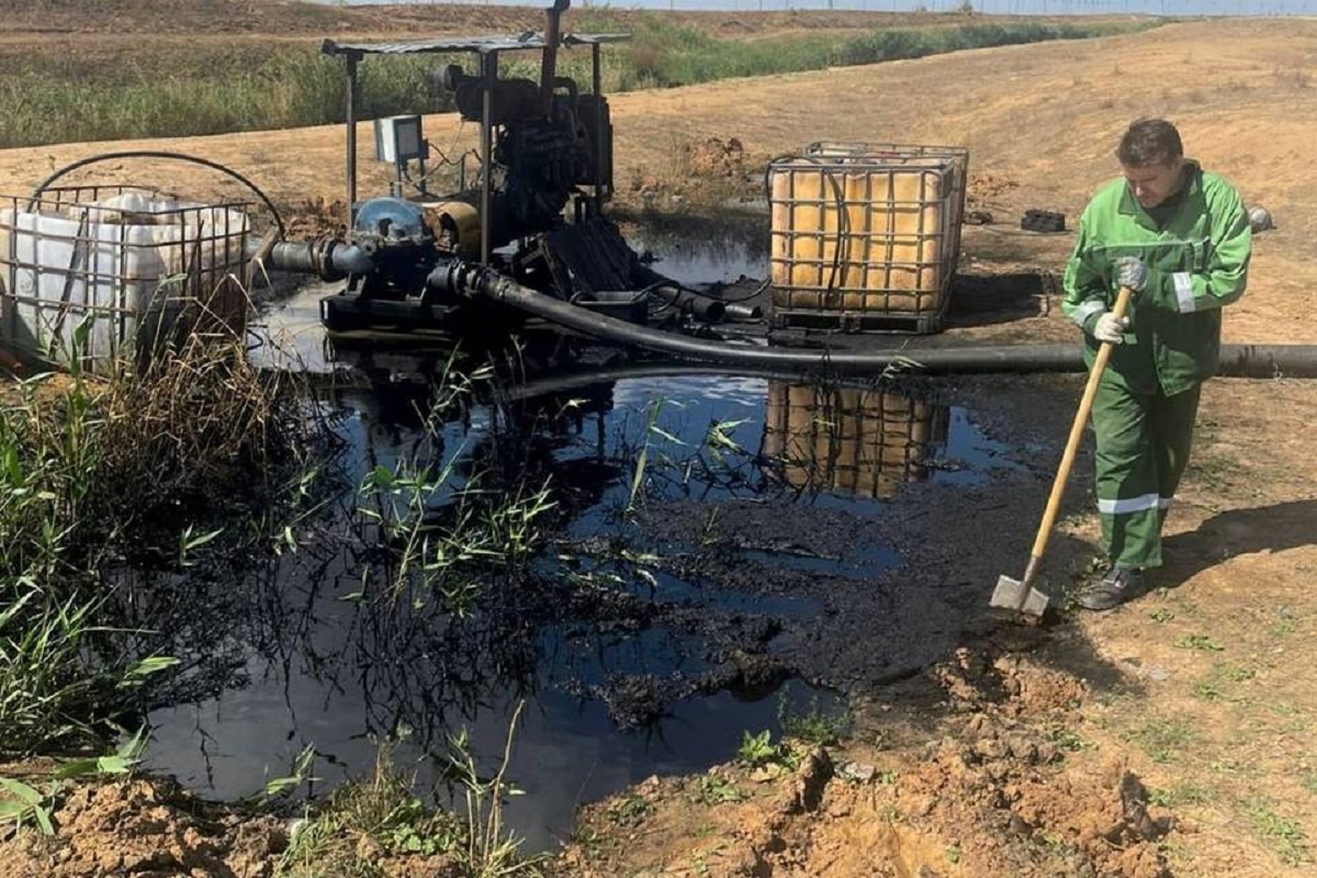    Фото: пресс-служба, источник: Нижне-Волжское управление Росприроднадзора