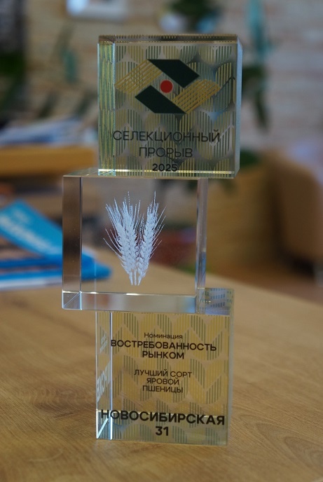    Премия «Селекционный прорыв». Фото: Георгий Батухтин