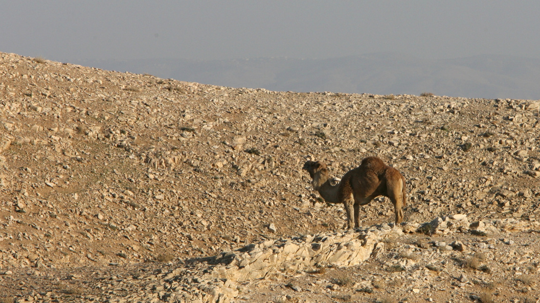    Daniil Ivanov/Globallookpress