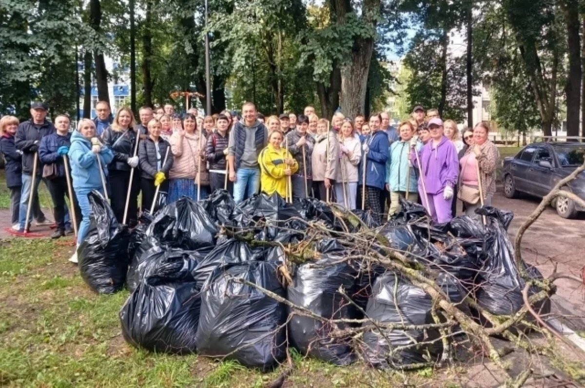    Более 3700 жителей Брянска приняли участие в общегородском субботнике