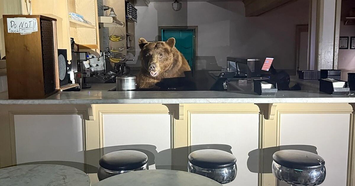 Источник: brightspotcdn.com