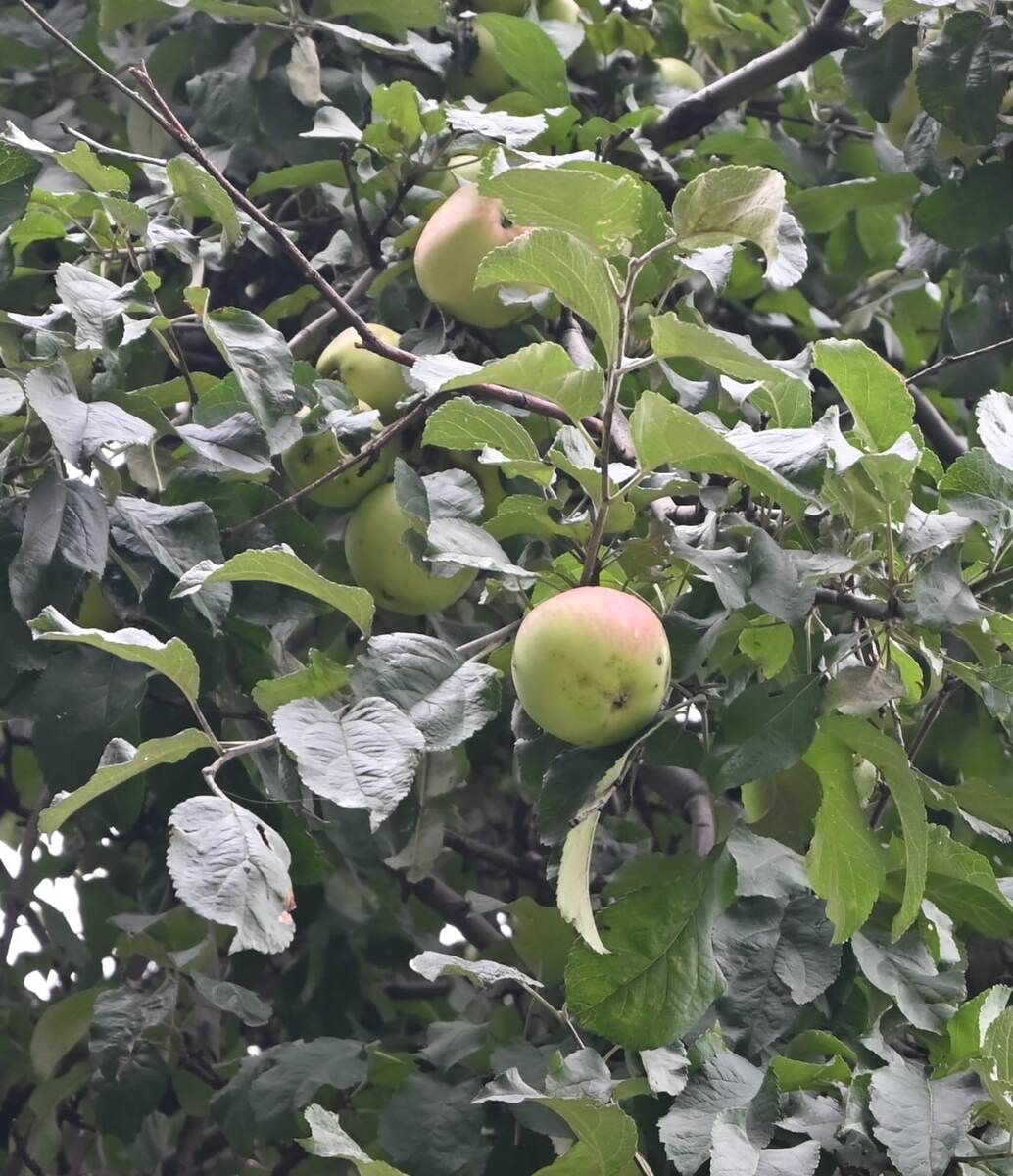 Фото авторов канала. 