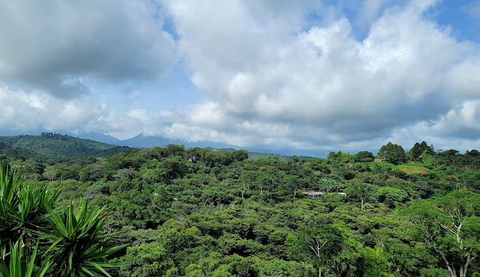 Сальвадор, Руда де лас Флорес