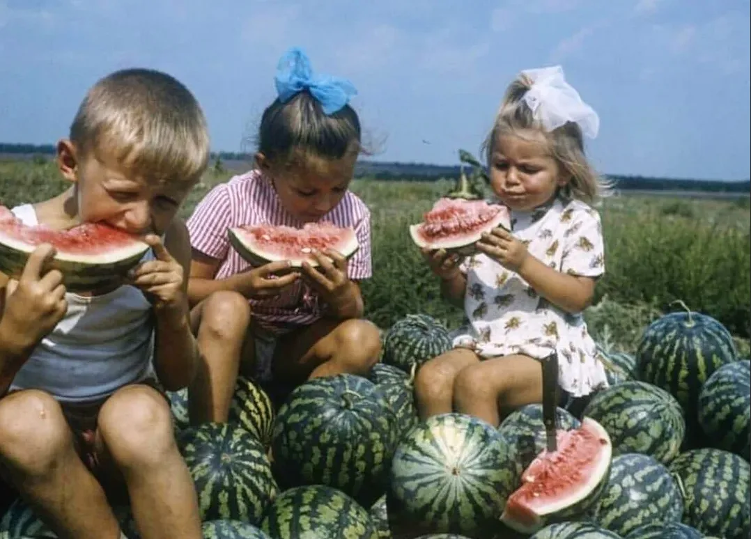 фото из яндекс картинки