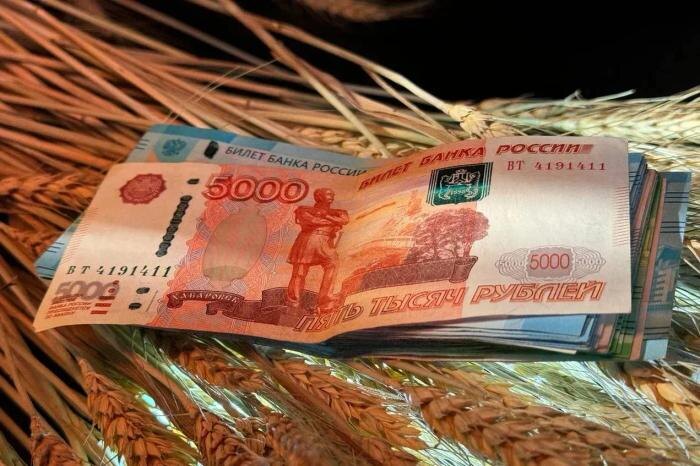 Обложка © Life.ru