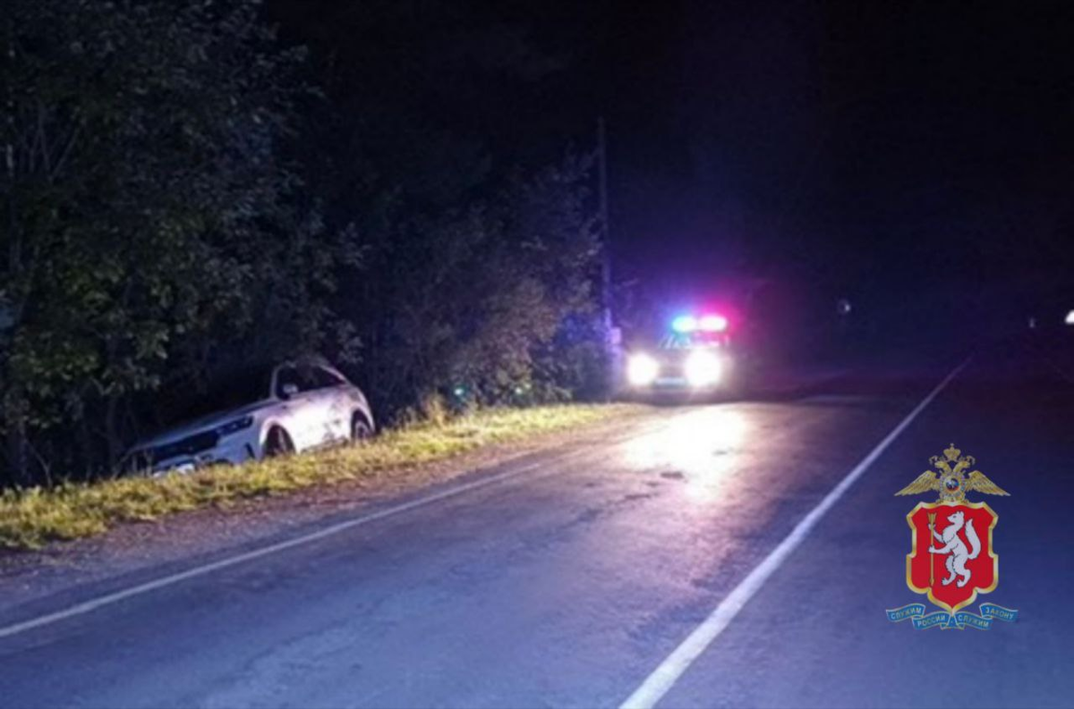     Фото: УГИБДД по Свердловской области