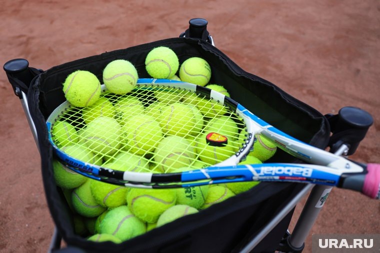    Теннисист Бонзи высказался о поведении Медведева на US Open