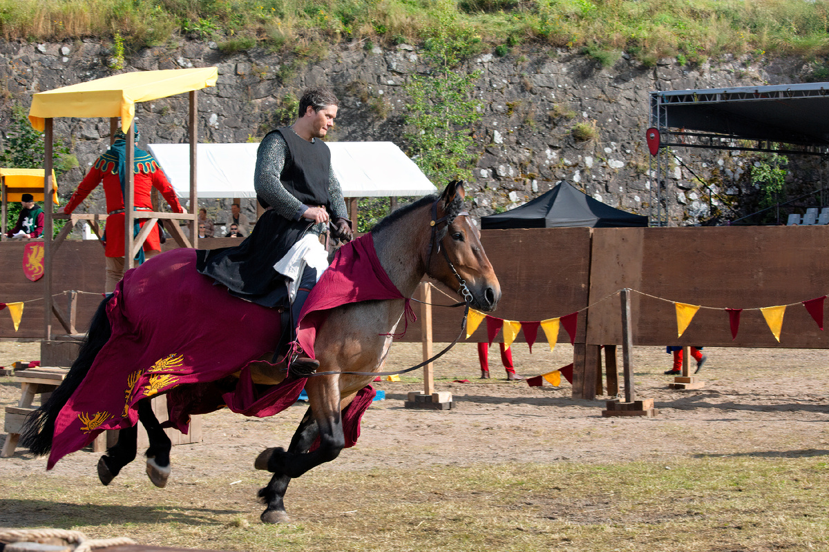 мчится рыцарь на коне