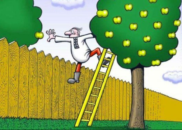 Источник изображения : my.mail.ru и Яндекс картинка.