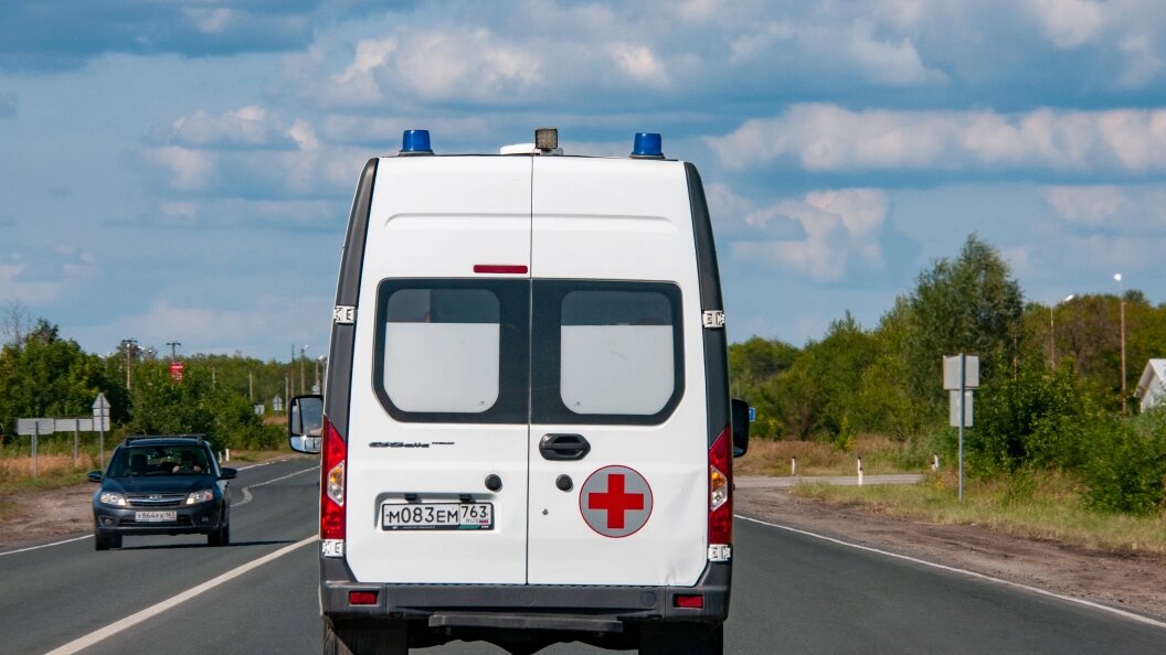    Фото: Svetlana Vozmilova/Globallookpress